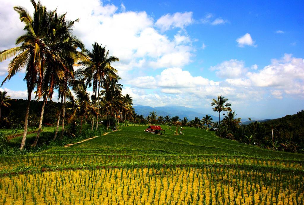 Hotel Puri Alam Bali Munduk Exterior foto