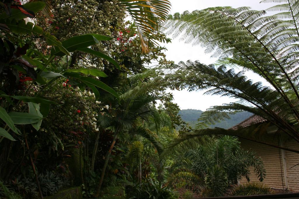 Hotel Puri Alam Bali Munduk Exterior foto